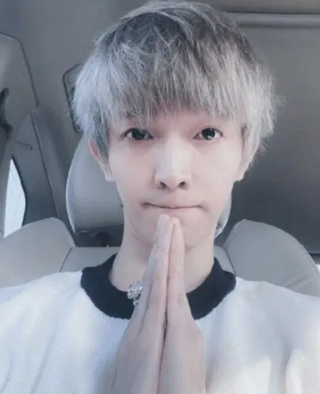 晴雅集故事简介