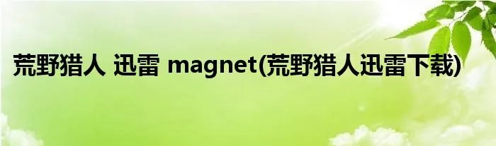 荒野猎人 迅雷 magnet(荒野猎人迅雷下载)