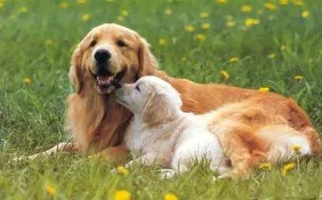 2023年8月30日是黄道吉日吗 2023年8月30日时辰吉凶