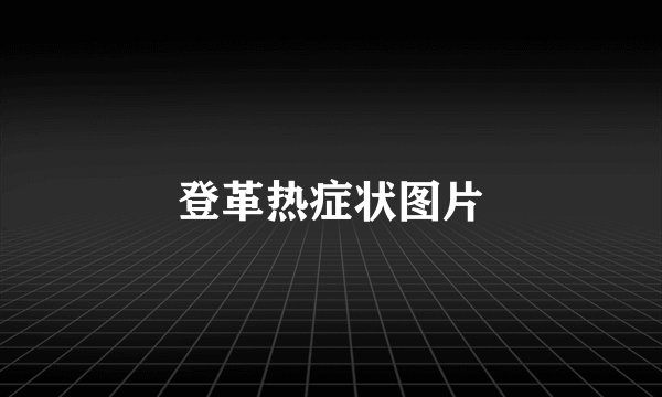 登革热症状图片