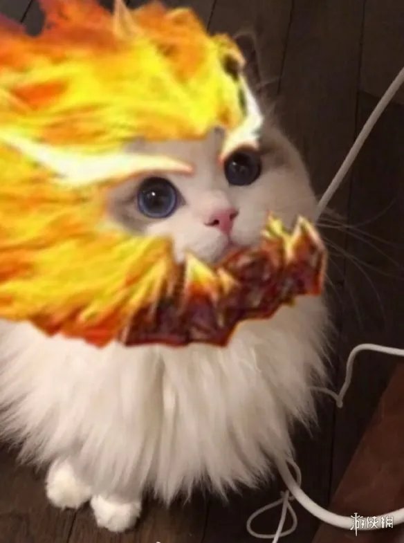 《王者荣耀》猫咪接头头像最新 猫咪头像大全