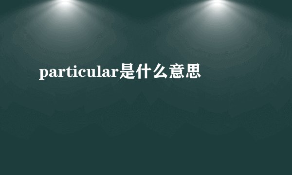 particular是什么意思
