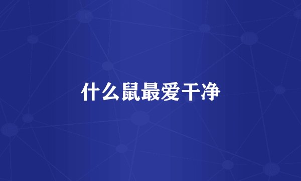 什么鼠最爱干净