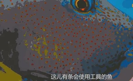 纪录片《蓝色星球》讲了什么?好看吗?