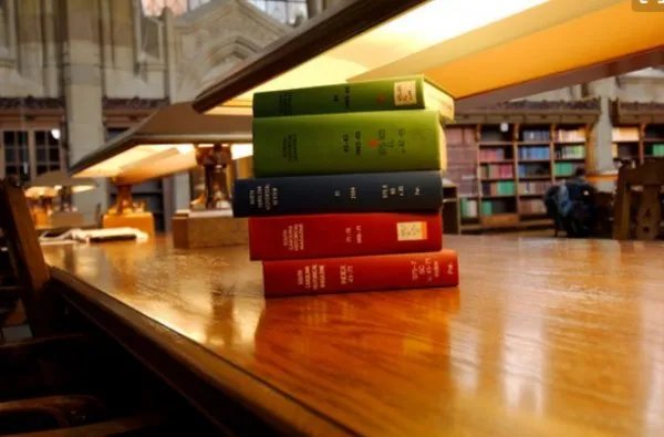 遗骸是什么意思