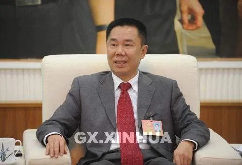 禤沛钧的人物履历