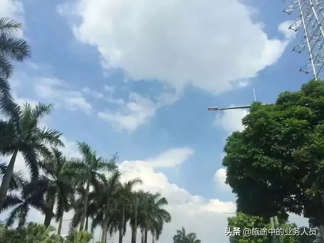 海南旅游业这几年有什么让你觉得进步的地方?