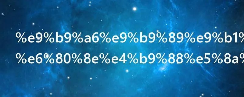 鹦鹉鱼变白怎么办