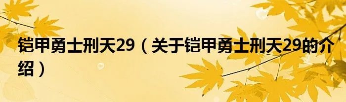 铠甲勇士刑天29（关于铠甲勇士刑天29的介绍）