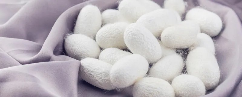 桑蚕丝的特点 桑蚕丝的特点是什么