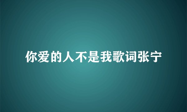 你爱的人不是我歌词张宁