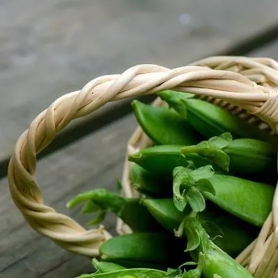 梨子的营养价值