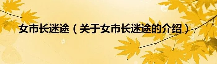 女市长迷途(关于女市长迷途的介绍)