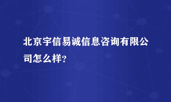 北京宇信易诚信息咨询有限公司怎么样？