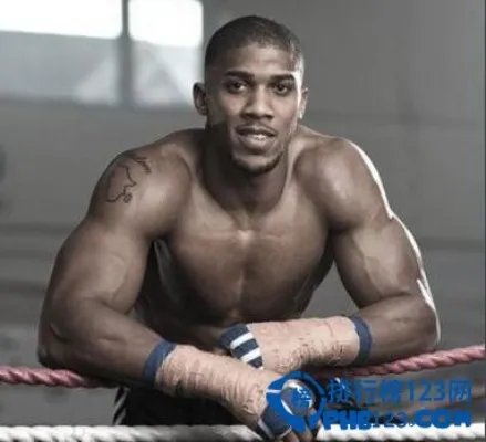 世界拳王排名2016名单:重量级拳王排名,次重量级拳王排名