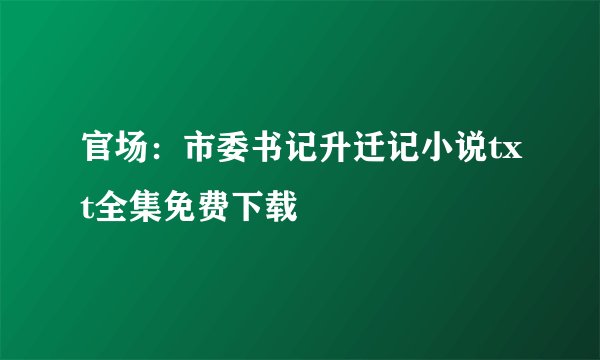 官场：市委书记升迁记小说txt全集免费下载