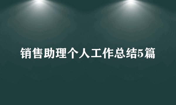 销售助理个人工作总结5篇