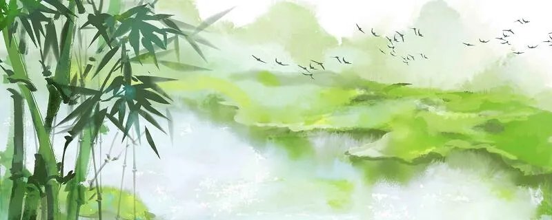 胸有成竹的主人公是谁