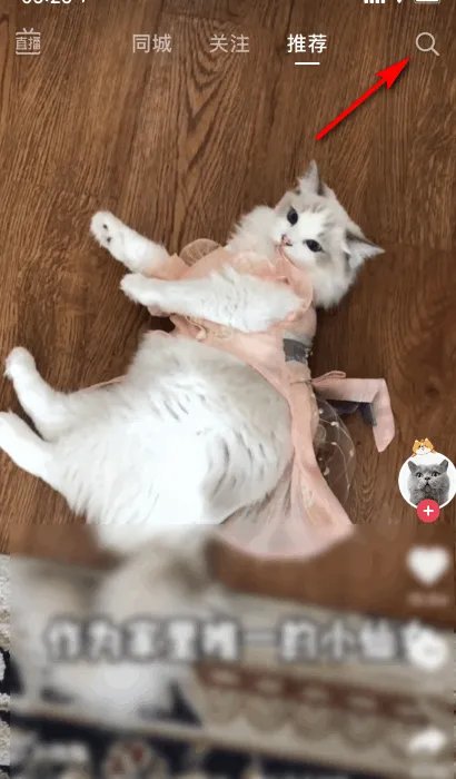 老罗直播间在哪个平台