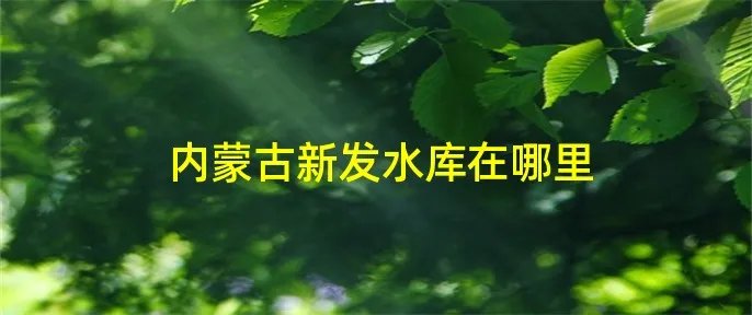 内蒙古新发水库在哪里