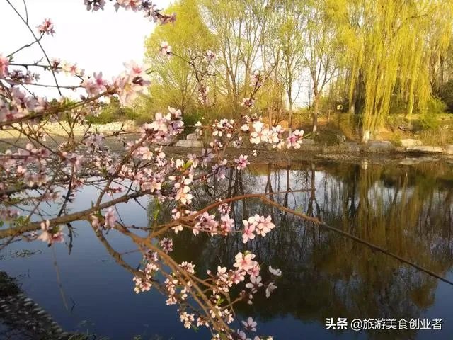 为什么突然全国影院暂不复业?