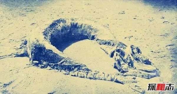 双鱼玉佩事件5张图真实