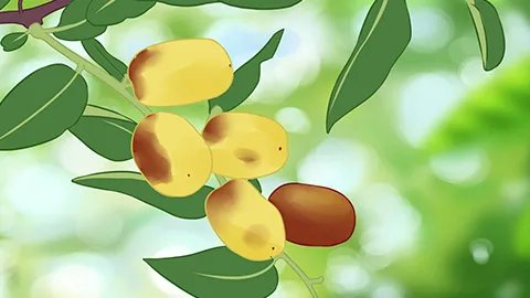 失眠的食疗方法