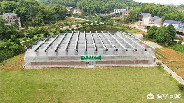 怎么做农产品推广?