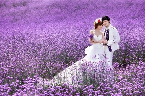 世界上最美的婚纱  让您成为世上最靓的新娘