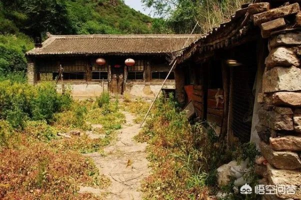 广东的一些无人村是怎么形成的？