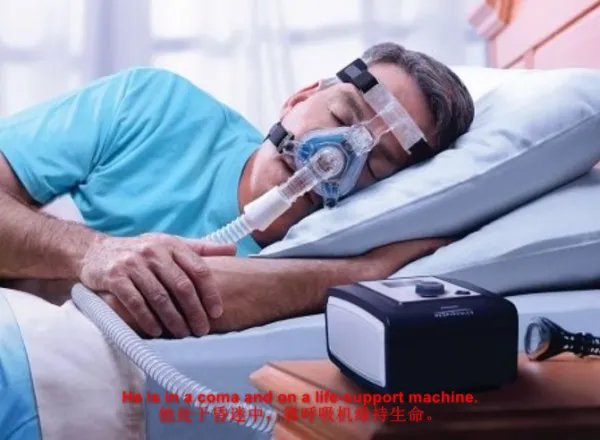 isin是什么意思英语