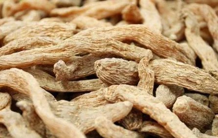 常见种植中药材