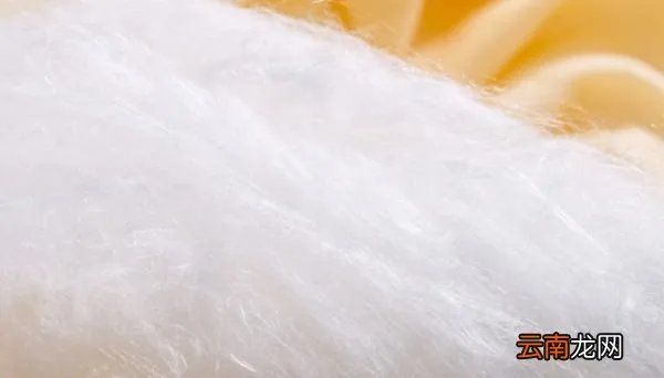 mulberry silk是什么面料 mulberry silk是什么面料做的