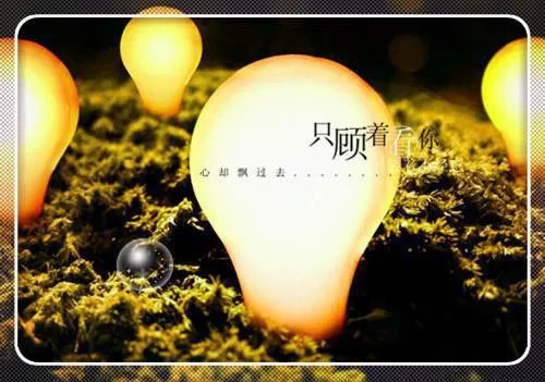 树叶贴画作品图片大全