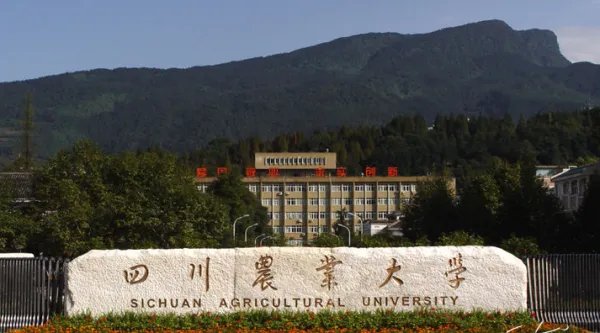 四川农业大学研究生院官网