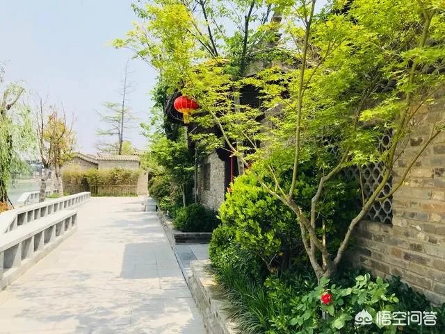 如何看待罗永浩的锤子科技与锤子手机？