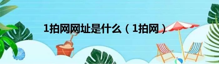 1拍网网址是什么（1拍网）