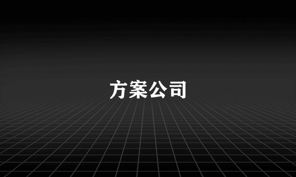 方案公司