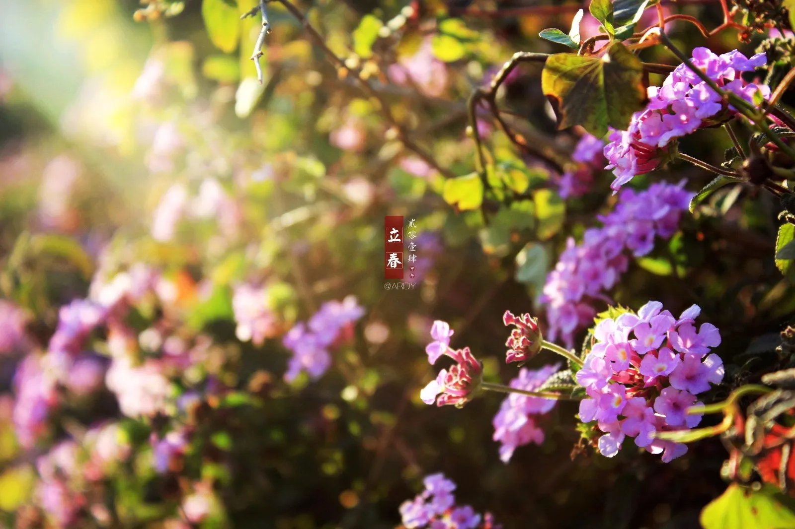 今日立春是几点几分