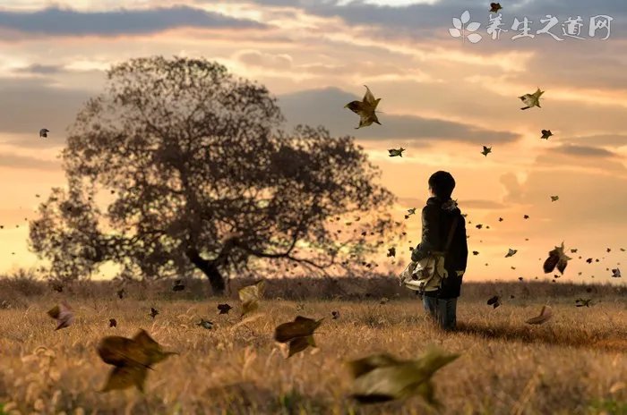 为什么会突然心情烦躁不安