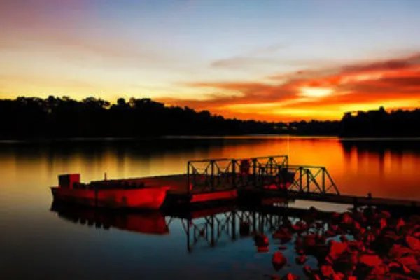 日出江花红胜火的胜是什么意思