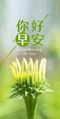 2021早上好问候图片？