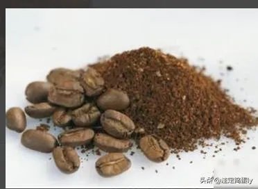 咖啡壶的使用方法？