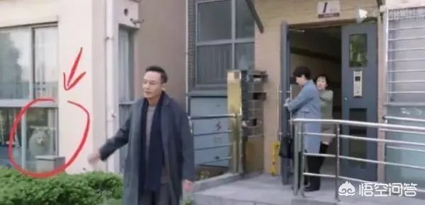 《都挺好》都有哪些穿帮镜头？