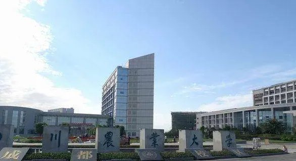 四川农业大学研究生院官网