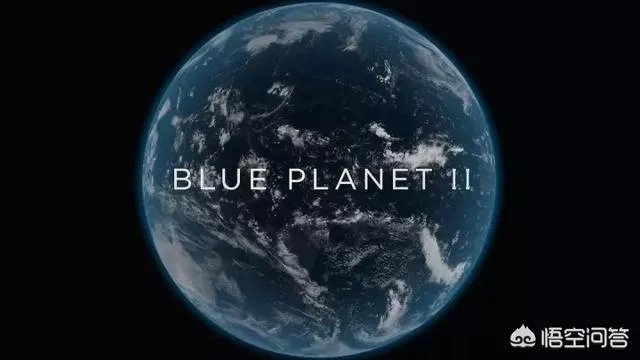 纪录片《蓝色星球》讲了什么?好看吗?