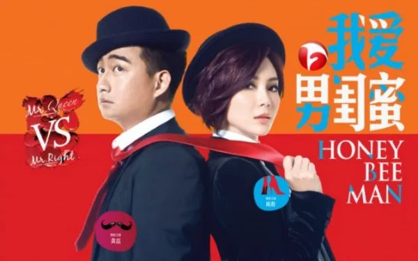 黄磊陈数主演的电视剧有哪些