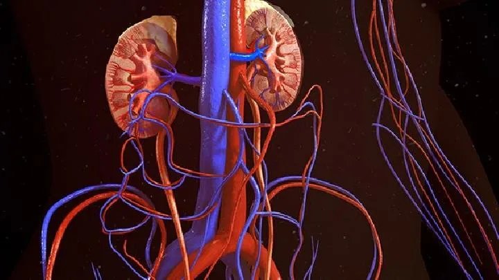 肾病的症状到底有哪些