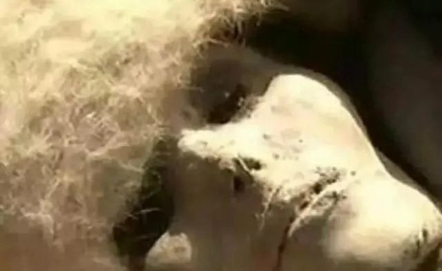 请问楼兰美女是真的吗？