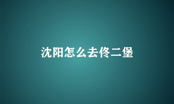 沈阳怎么去佟二堡